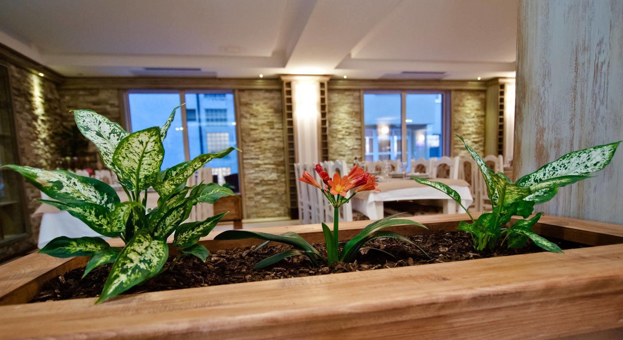 Wine Hotel Cesarica Međugorje 외부 사진
